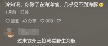 动物!看完分享直接颠覆认知笑到停不下来j9九游会登录海豚竟是海里最色的哺乳(图2)